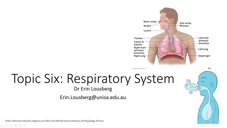 Topic Six Respiratory System Section One
