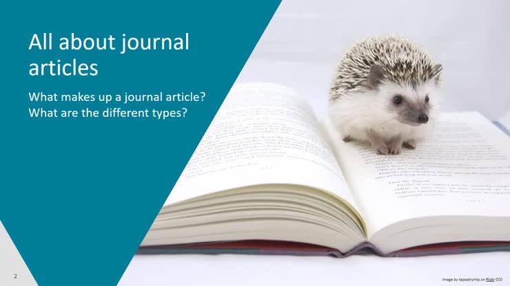 Journal article types explained