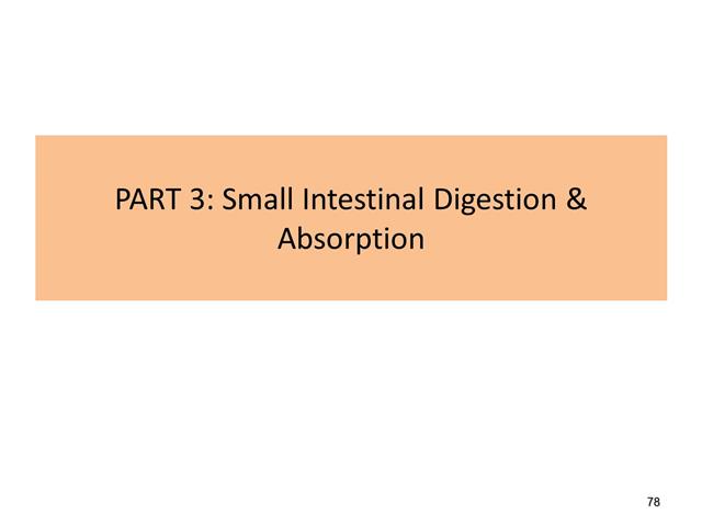 Biology B Digestive System 3 - Part 3