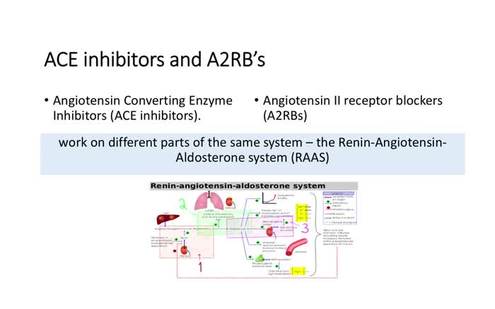 ACE and A2RB drugs action
