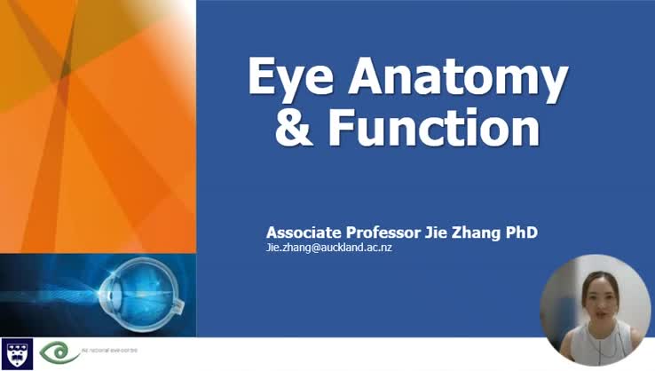 Eye Anatomy and Physiology Tutorial standard resolution_